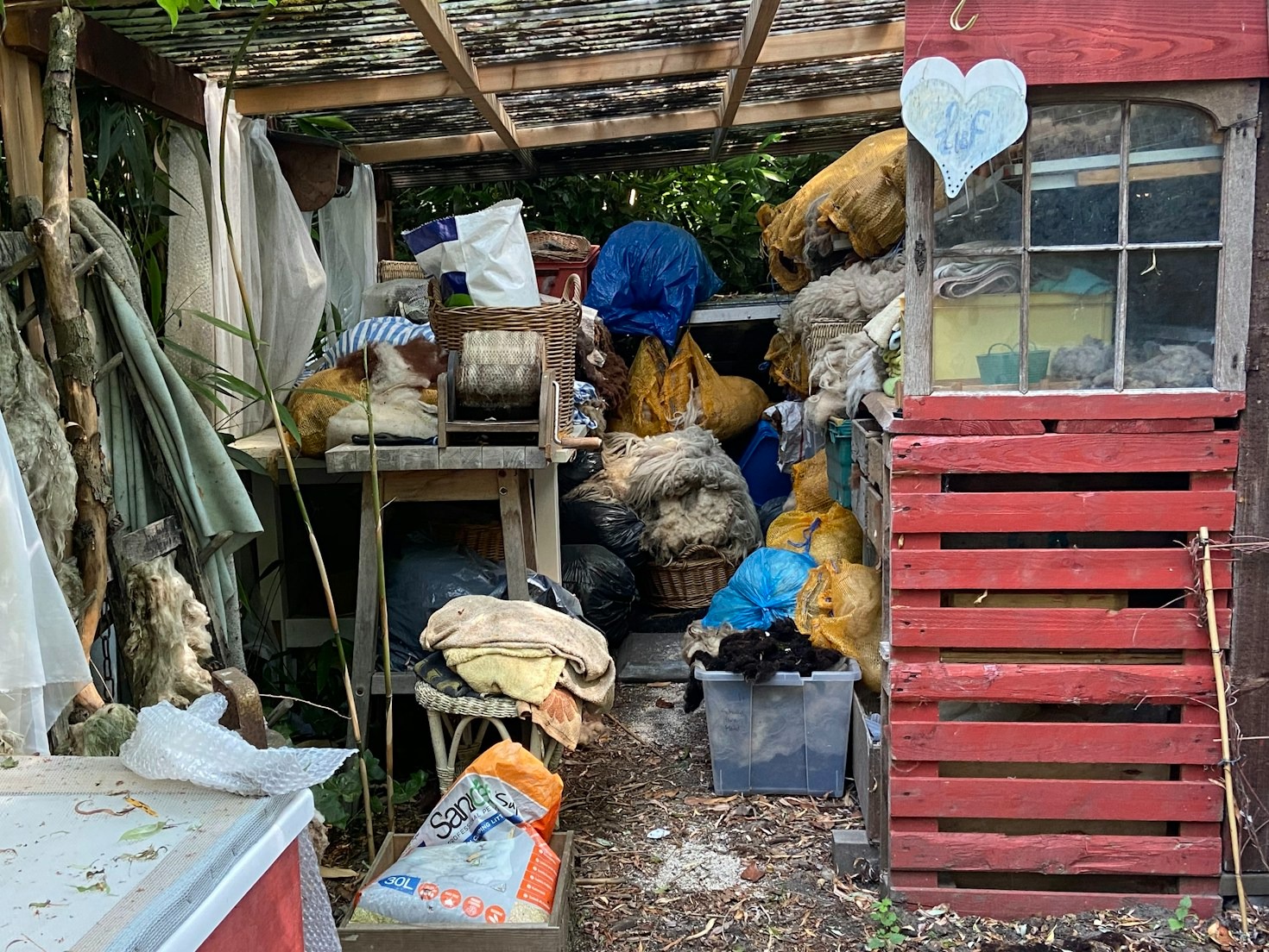 Boise’s Junk Removal: What You Need to Know